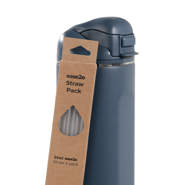 Ease2o Straws 4 Pack 24oz Z0